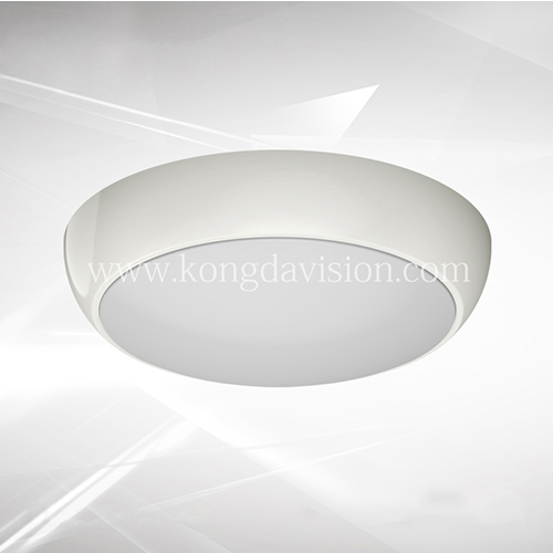 Emergency Ceiling Light